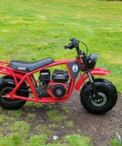 Coleman B200R Mini Bike