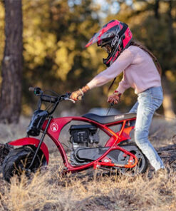 Coleman B100 Mini Bike