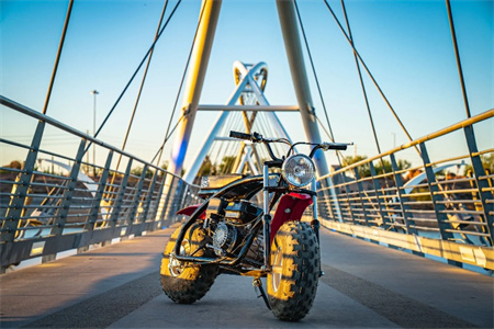 Coleman BT200X Mini Bike - Image 4